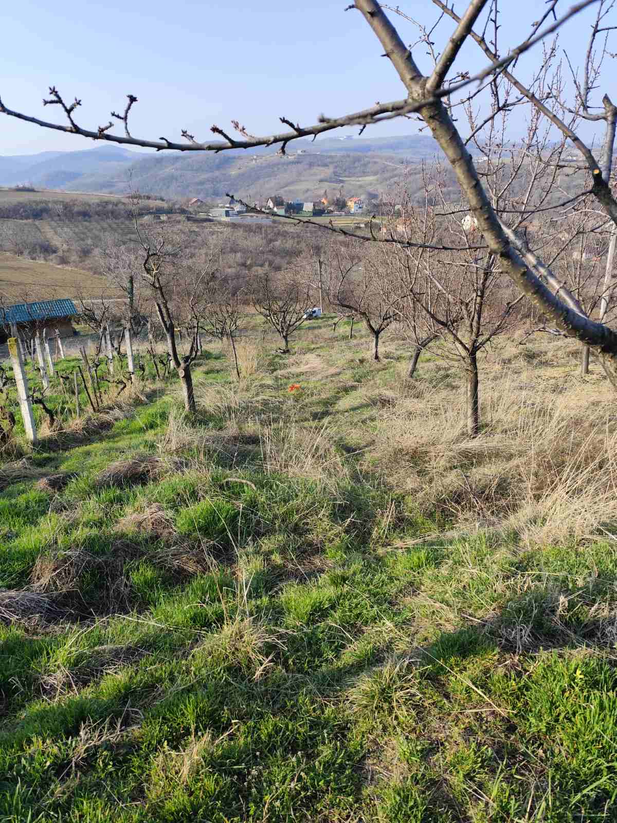 Krčenje zaraslog terena — bager i mehanizacija