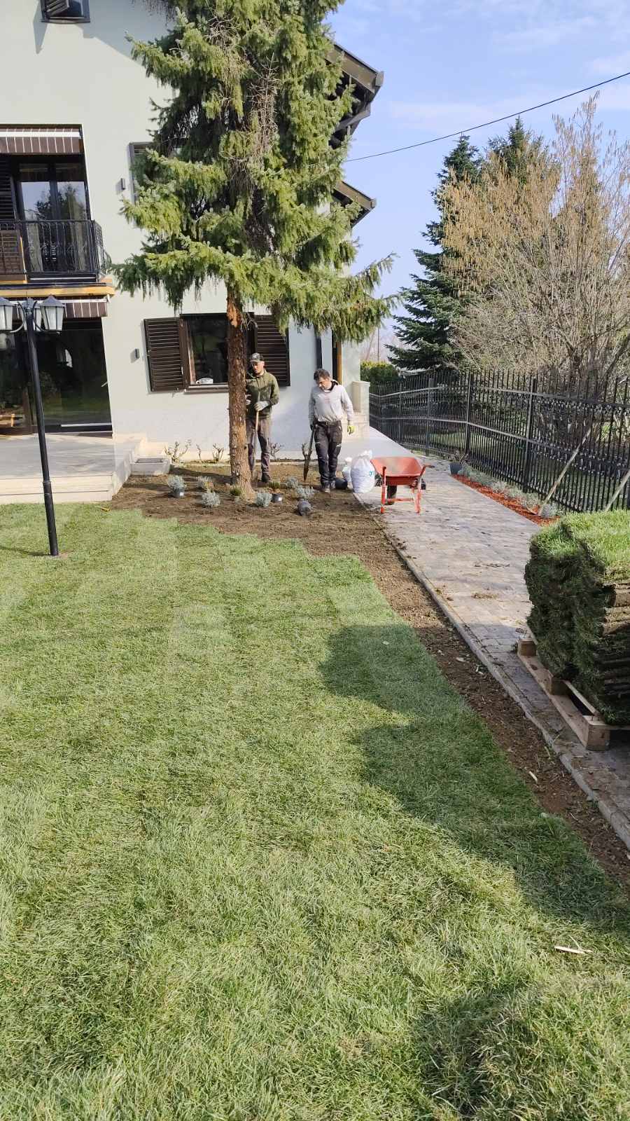 Aeracija travnjaka — nega zelenih površina