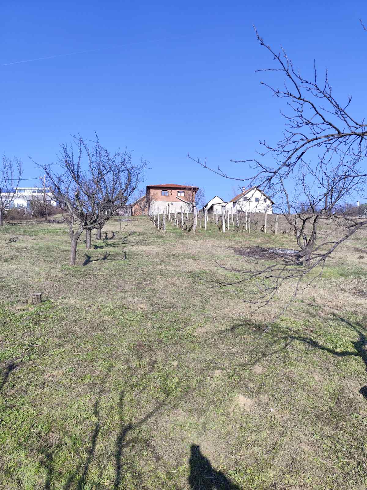 Čišćenje dvorišta i odnošenje otpada